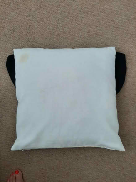 Photo of free Scatter cushion (Wheathampstead AL4) #1
