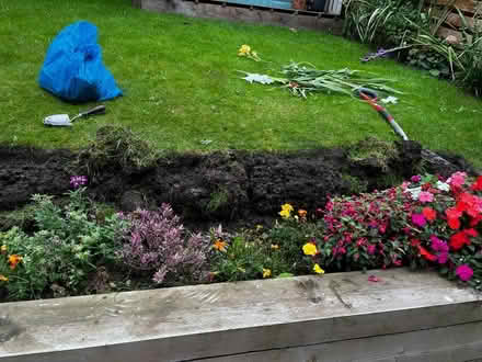 Photo of free Mixture of soil and grass (Walkley) #4