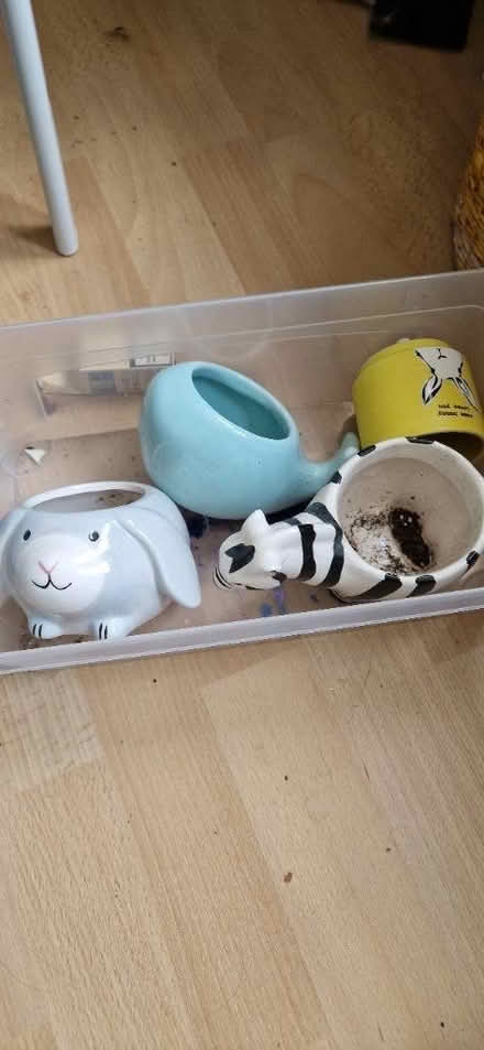 Photo of free Novelty plant pots (Bedford) #1