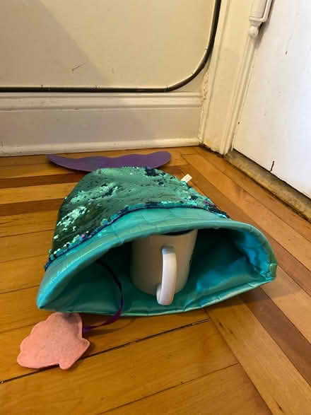 Photo of free Cat toy mermaid tail (Sunset Park) #2