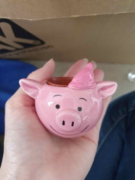 Photo of free Tiny plant pot (GU15) #1