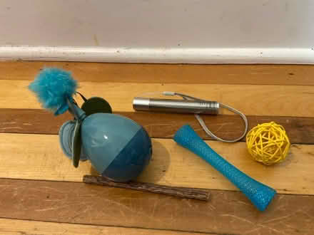 Photo of free Assorted cat toys (Sunset Park) #1