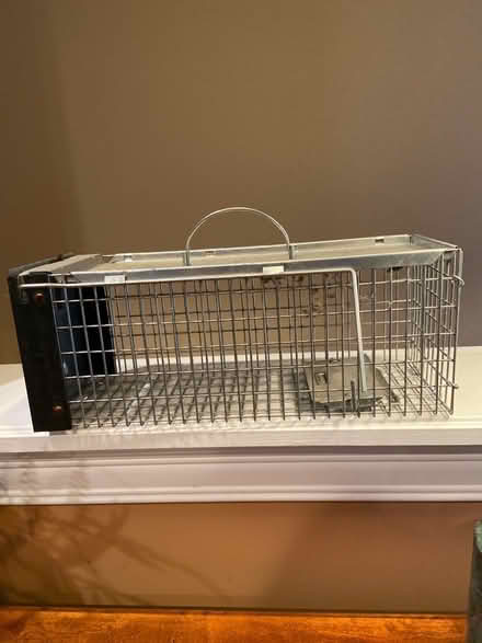 Photo of free Hav-a-Hart trap for small mammals (Mason) #1