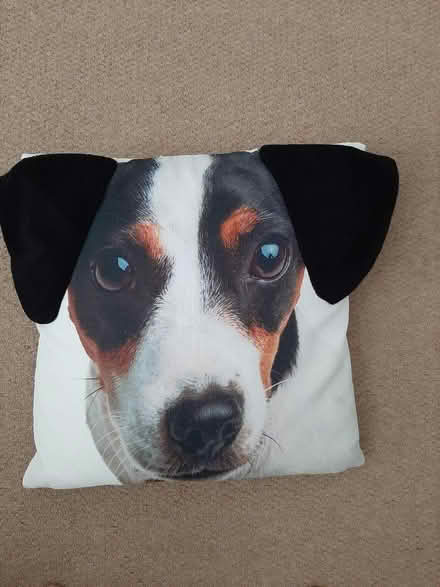 Photo of free Scatter cushion (Wheathampstead AL4) #2