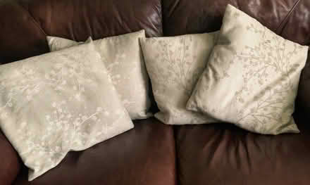 Photo of free Scatter cushions (Great Sankey WA5) #1