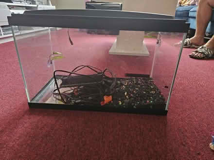 Photo of free 10 Gallon Fish Tank (Bloomfield) #1
