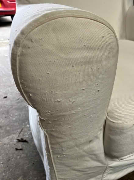 Photo of free Ikea white armchair (WA1) #2