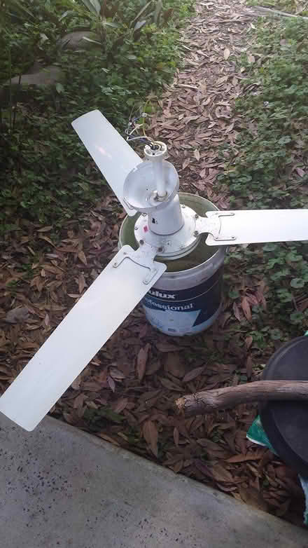 Photo of free Ceiling fan (Chittaway Bay) #1