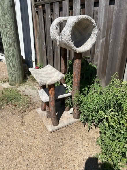 Photo of free Cat tree (16th Street Heights) #2