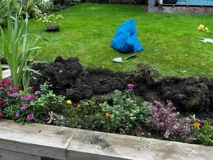Photo of free Mixture of soil and grass (Walkley) #3