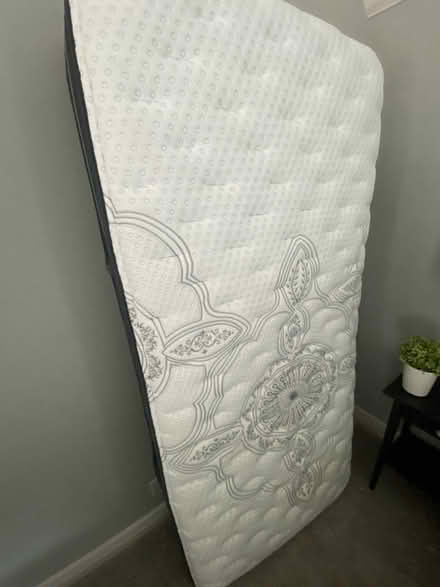 Photo of free Mattresses (Houston area) #4