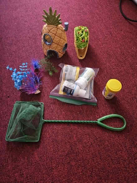 Photo of free 10 Gallon Fish Tank (Bloomfield) #3