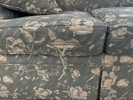 Photo of free Sofa (near Wheeling Rd & Hintz) #3