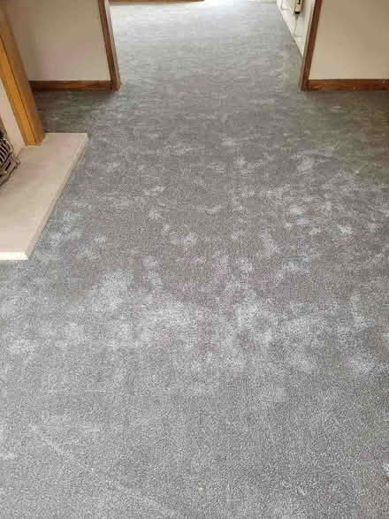 Photo of free Carpet (St. Werburghs BS2) #3