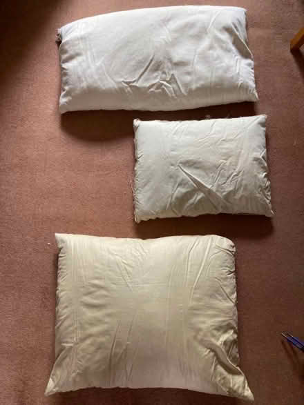 Photo of free Pillow and cushion pads (feather-filled) (Teddington TW11) #1