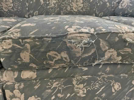 Photo of free Sofa (near Wheeling Rd & Hintz) #1