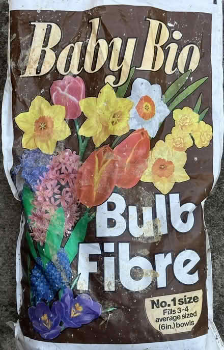Photo of free Bulb fibre (Old Town SG1) #2