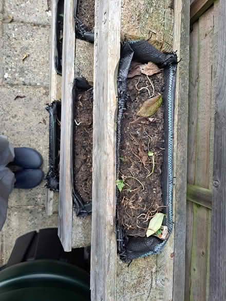 Photo of free Pallet planter (Littlemore, OX4) #1