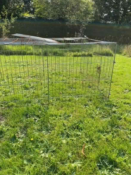 Photo of free Pet cage / dog run (Cringleford NR4) #3