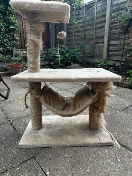 Photo of free Cat scratch tower (East Finchley N2) #1