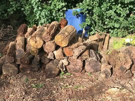 Photo of free Curb Alert (Ann Arbor-Wagner/Scio Church) #4
