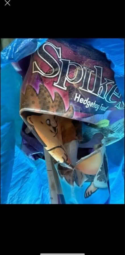 Photo of free Hedgehog food (BN3) #1