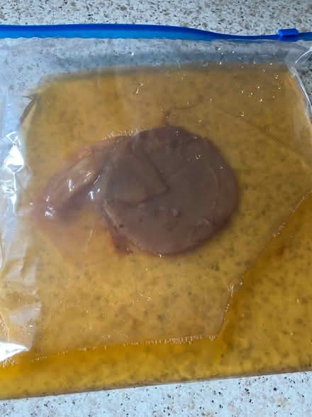 Photo of free Kombucha scoby (L27) #1