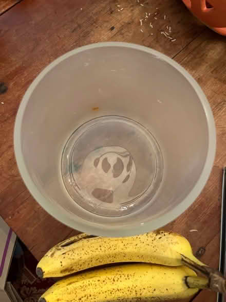 Photo of free Large frosted vase (Roland park/Evergreen) #3