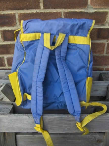 Photo of free Thermos insulated cool bag rucksack (Great Totham CM9) #1