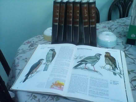 Photo of free Encyclopedia of Birds (Saltash PL12) #1