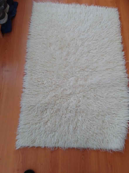 Photo of free Shaggy Rug (IP5) #1
