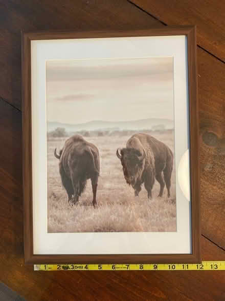 Photo of free Framed and matted buffalo print (Capitol Hill, Duncan St NE) #1