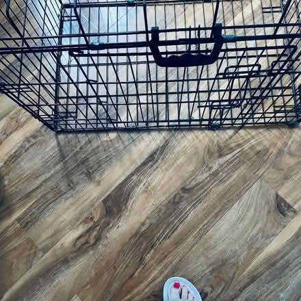 Photo of free Dog/Pet Cage (Emwell Street BA12) #3