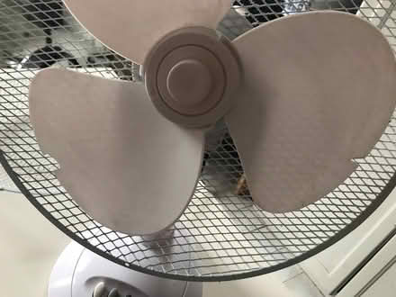 Photo of free Desk fan (Walthamstow village) #2
