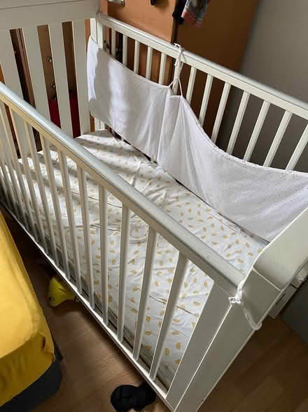 Photo of free Cot an mattress (E8) #1