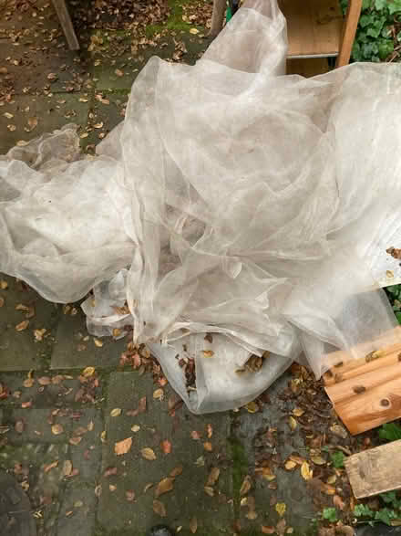 Photo of free Netting - vegetable garden (Shortlanesend, TR4) #1