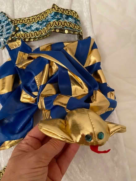 Photo of free Children’s Dressing Up Costumes (Southwater) #4