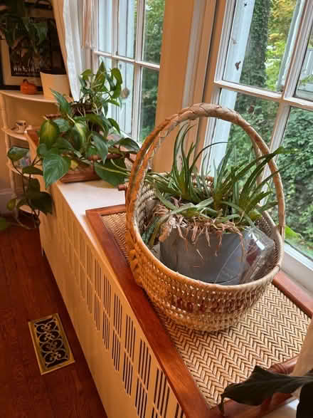 Photo of free 2 Rattan-style serving platters (Roland park/Evergreen) #1
