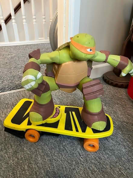 Photo of free Teenage Ninja Turtle (Chatham ME5) #1