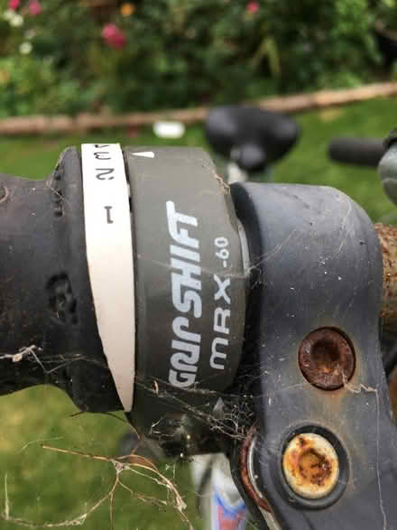 Photo of free Ladies town bike (Tadmarton) #4