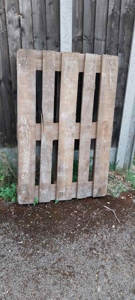 Photo of free Solid wood pallet (Hemel Hempstead HP2) #1