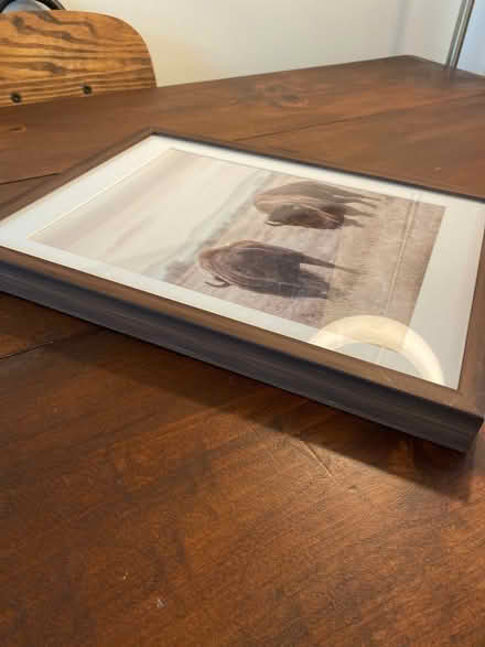 Photo of free Framed and matted buffalo print (Capitol Hill, Duncan St NE) #3