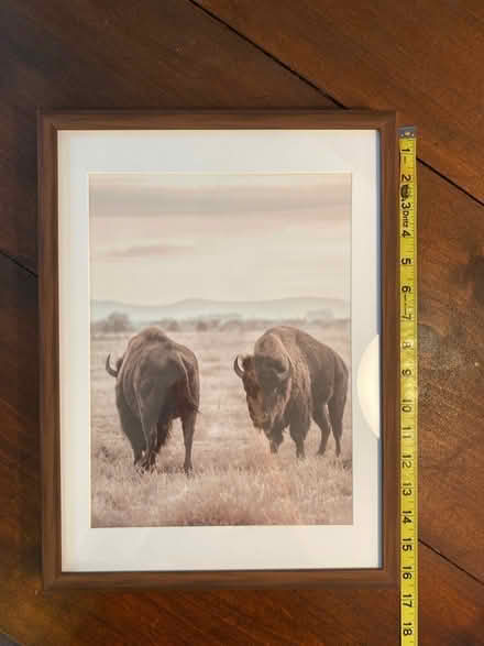 Photo of free Framed and matted buffalo print (Capitol Hill, Duncan St NE) #2
