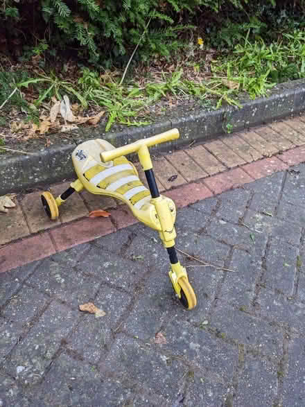 Photo of free Scuttle bug (Malvern WR14) #1