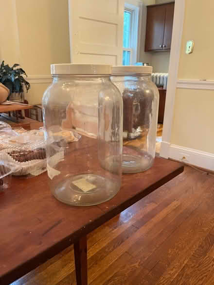 Photo of free Four large kombucha jars (Roland park/Evergreen) #2