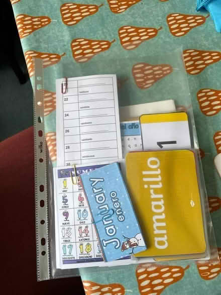 Photo of free Spanish Teaching resources (Stirchley B29) #1