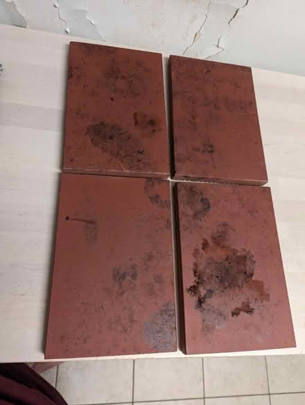 Photo of free Oven pizza stones (20008, near BreadFurst) #2