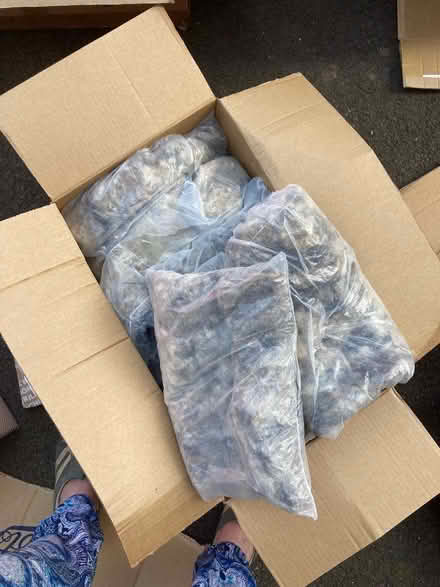 Photo of free Sheep’s wool in bags for keeping food cold and hot (Crowborough Warren TN6) #1