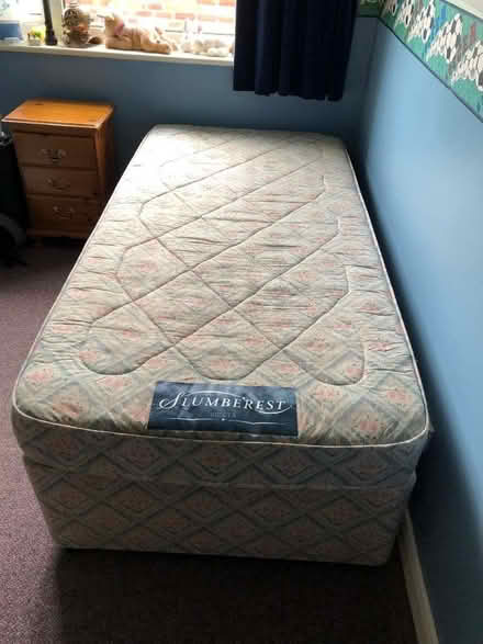 Photo of free single divan bed (Long Whatton LE12) #1