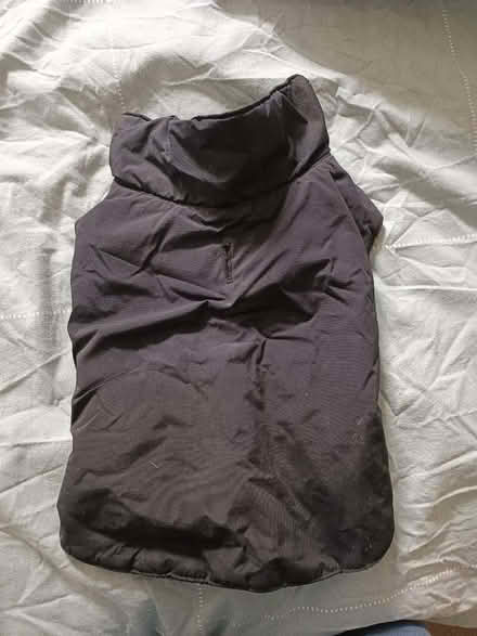 Photo of free Small Dog Coat (CT11) #1